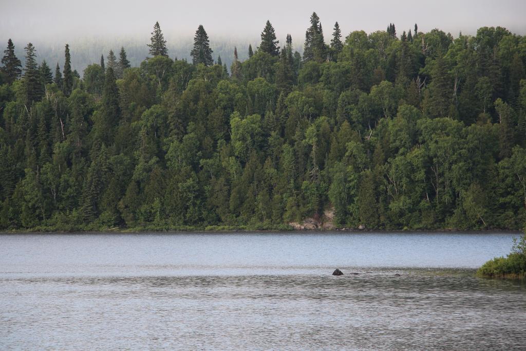 Catfish Lakefront Cabins & Campground Wawa Extérieur photo